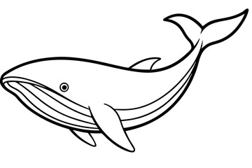 Elegant Whale Line Art