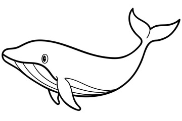 Elegant Whale Line Art