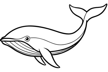 Elegant Whale Line Art