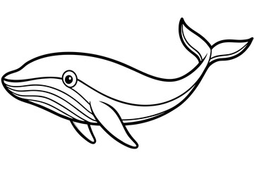 Elegant Whale Line Art