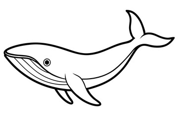 Elegant Whale Line Art