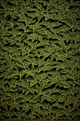 Fototapeta premium a close up of a green plant with yellow leaves