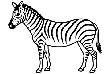 Elegant Zebra Line Art