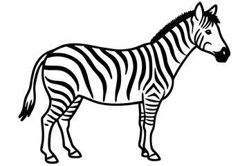Elegant Zebra Line Art