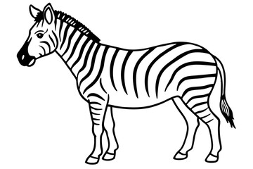 Elegant Zebra Line Art
