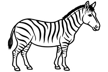 Elegant Zebra Line Art