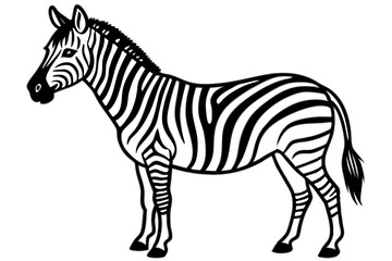 Elegant Zebra Line Art