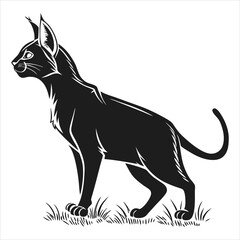 silhouette cat white background