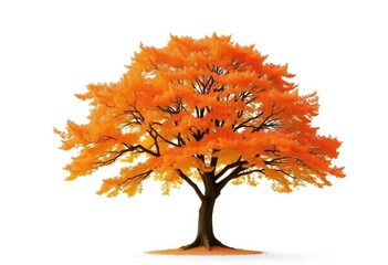 Single, majestic tree isolated on pure white background, plant, graphic