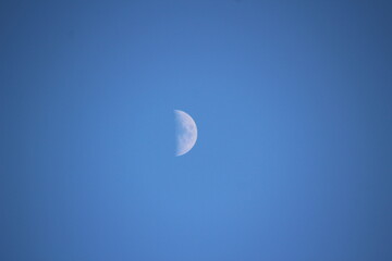 上弦の月　Halfmoon