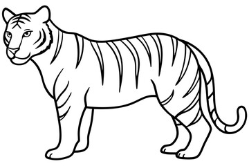 Fierce Tiger Linework