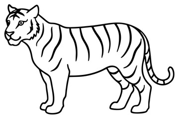 Fierce Tiger Linework
