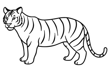 Fierce Tiger Linework