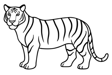 Fierce Tiger Linework
