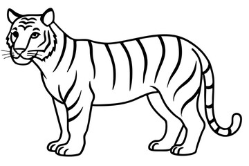 Fierce Tiger Linework