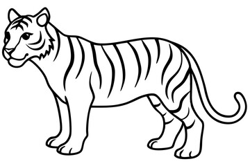 Fierce Tiger Linework