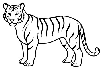 Fierce Tiger Linework