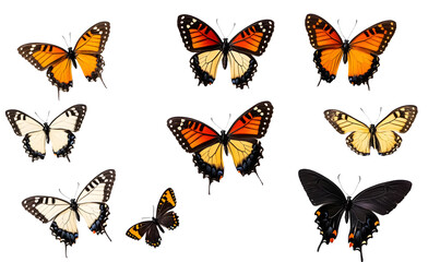 PNG Flying plain tiger butterflies butterfly animal insect