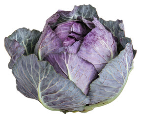 PNG Cabbage vegetable cabbage produce.