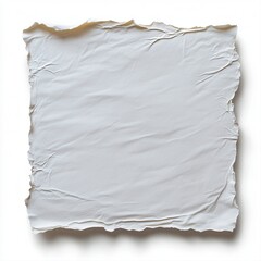 Obraz premium Torn edge piece of paper with visible texture and frayed edges laying on a smooth surface in a neutral setting