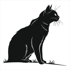 silhouette cat white background