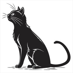 silhouette cat white background