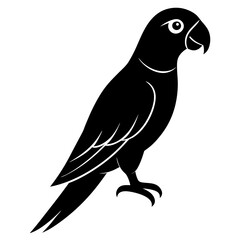 Obraz premium parrot silhouette vector icon white background