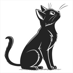 silhouette cat white background