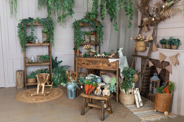 Cozy home garden in boho style. Workshop. Rustic interior design room with wooden table, flowers, green plants and gardening tools. Urban jungle at eco home. Easter spring decor at home. Greenhouse	
