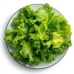 Natural salad served in a plain white bowl, consisting only of fresh green lettuce leaves. Green salad photo in a bowl on white background. Food photography for restaurants creatives