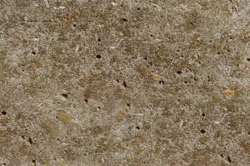 A close-up view of a textured stone surface covered in lichen and featuring small holes, showcasing the natural weathering and beauty of stone.