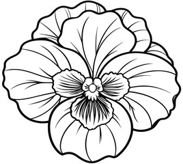 Pansy Flower &ndash; Vibrant Garden Bloom with Delicate Petals & Striking Colors