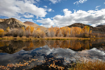 Autumn on the Salmon River, Idaho