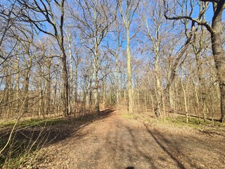 Der Plänterwald im Frühling, in Berlin Treptow