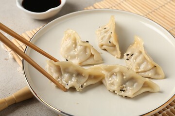 Eating tasty gyoza dumplings at light table, closeup