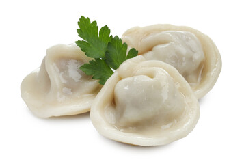 Delicious boiled dumplings with fresh parsley isolated on white