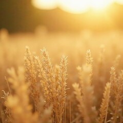 Fine, dry grains, sun-warmed; light beige hue, warm, texture