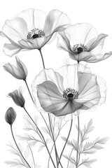 Elegant design featuring three white flowers in an embroidery pattern with intricate outline and artistic flair