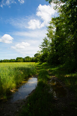 Po Valley Agricultural Fields and Dramatic Skies