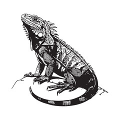 Lizard Vector