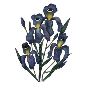 purple iris flowers with eyes clip art preview