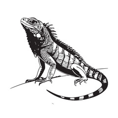 Lizard Vector