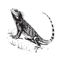 Lizard Vector