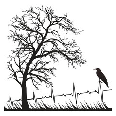 silhouette ecg icon on white background