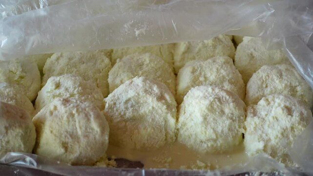 A traditional milk-based sweet known as rasgolla.