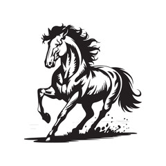 create a vector bundle pack of 9 horse silhouette A collection of black horse silhouette vector illustrations silhouette horse running, collection 