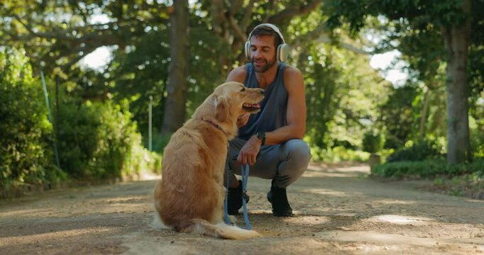 Music, running and walking dog with man in park together for bonding, exercise or wellness. Fitness, obedience or training with athlete and pet labrador outdoor in nature for cardio or workout