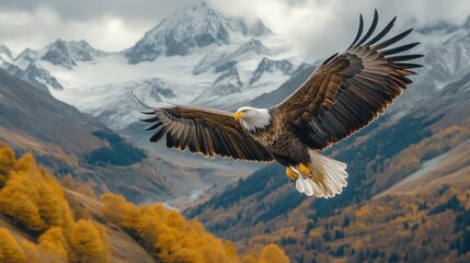 Fototapeta premium Majestic eagle soars above autumnal mountains