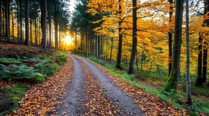 Fototapeta premium Serene Autumn Pathway Through Vibrant Forest with Golden Sunlight Streaming