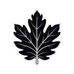 oak leaf of a silhouette art